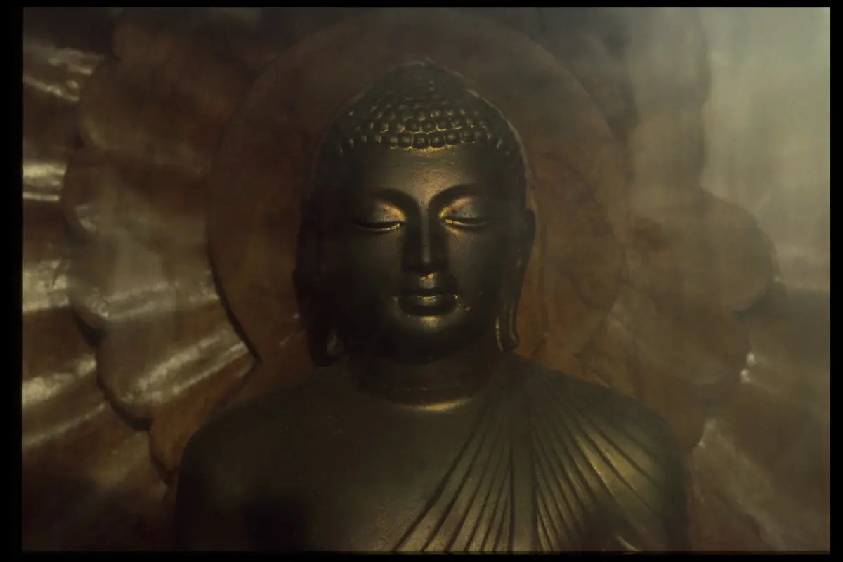 Buddha dark stone pcd