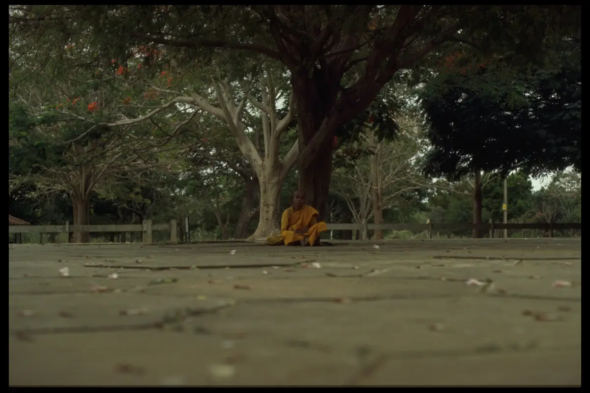 Sri lanka monk under tree
