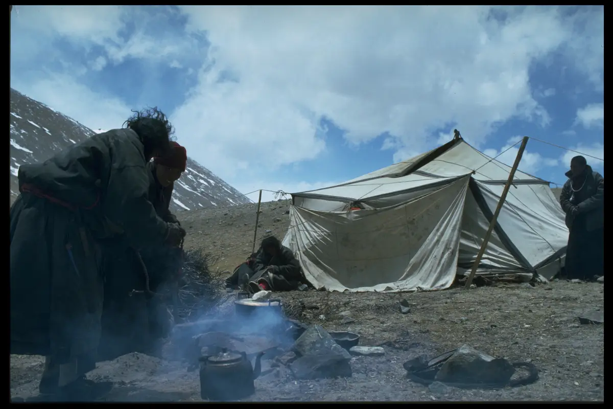 Ladakh nomad camp cooking