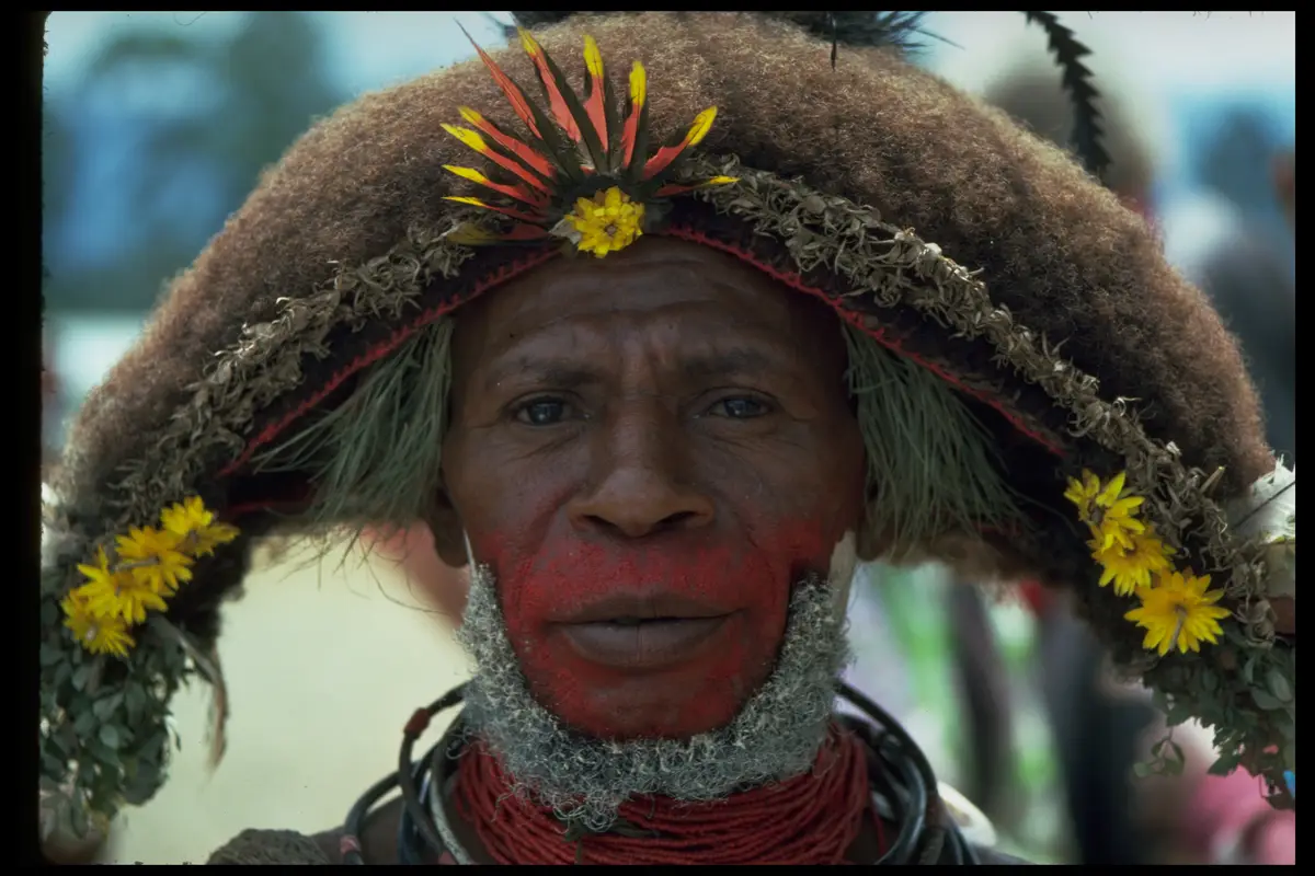 Png huli wigman elder daisies