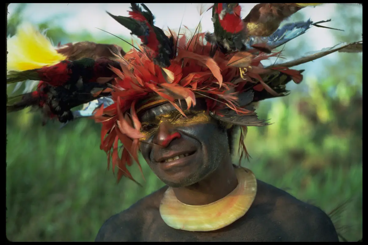 Png bird of paradise headdress