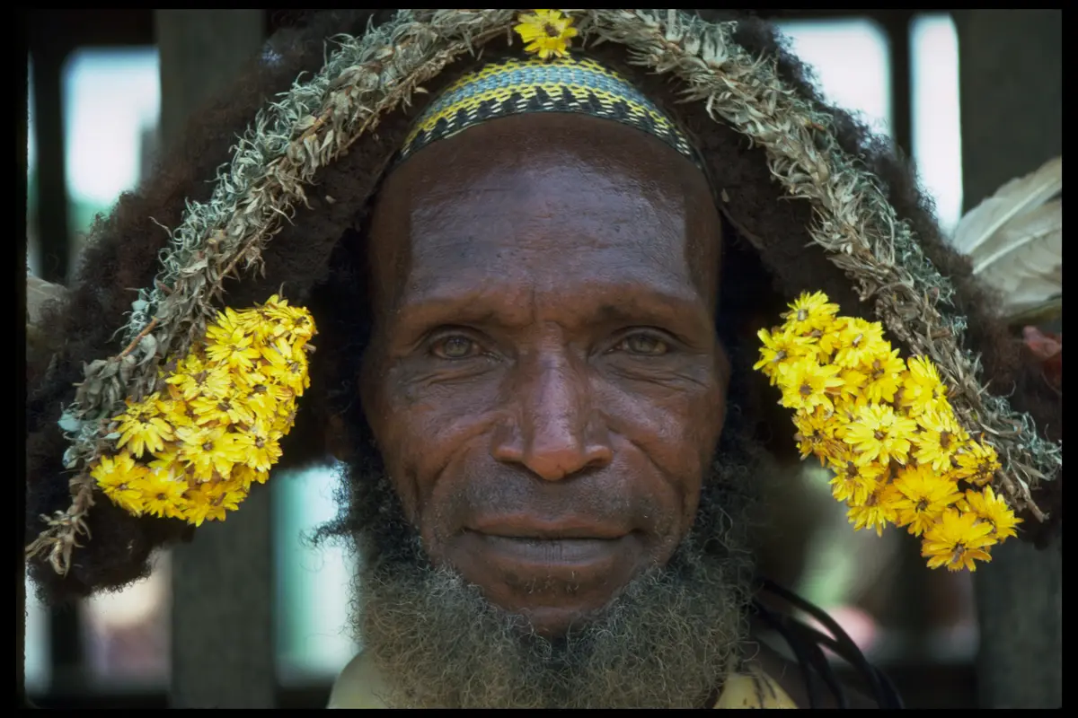 Png huli elder daisies