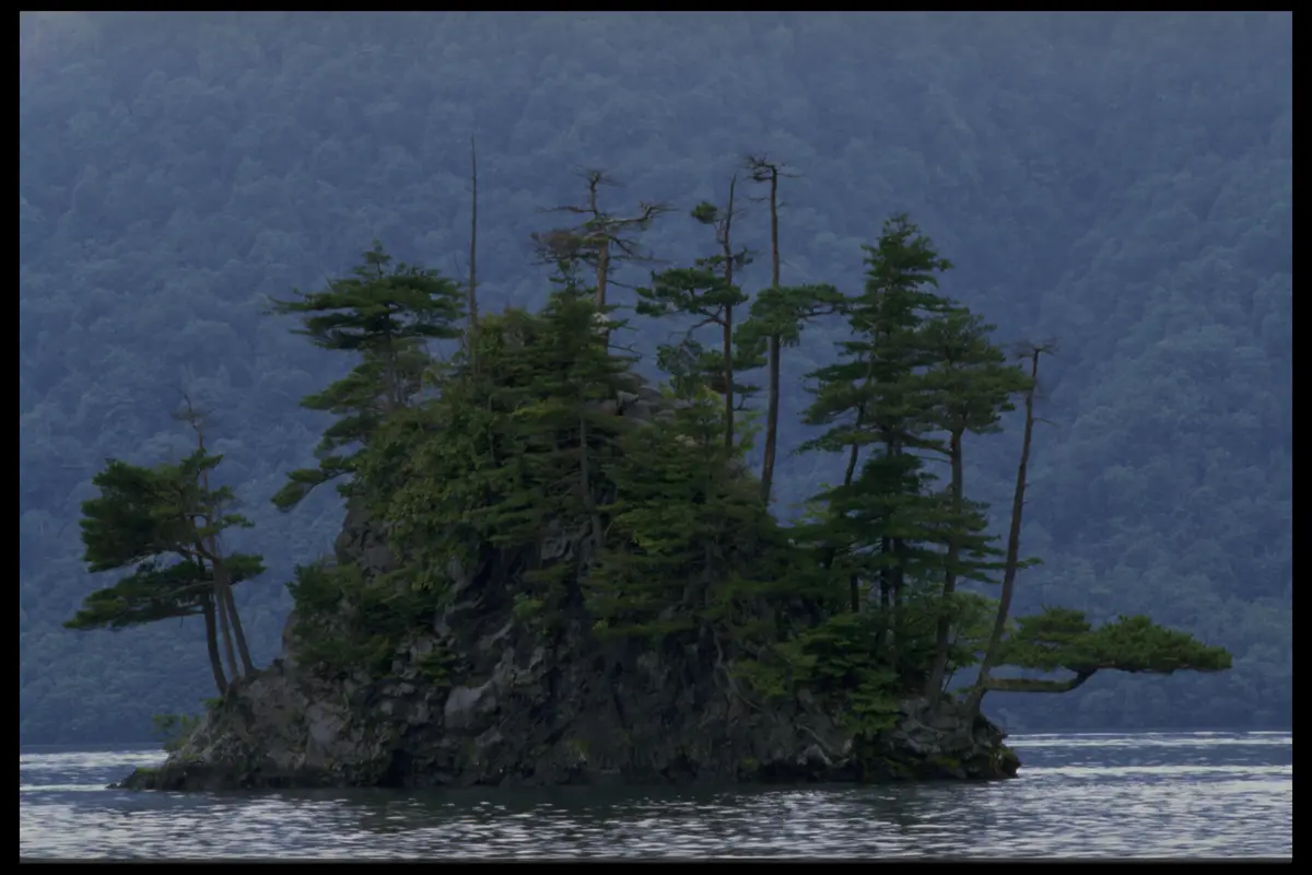 Japan lake island pines