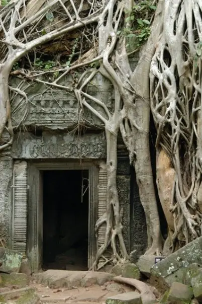 Ta Prohm doorway swallowed by tree roots